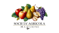 Agricola Maglione
