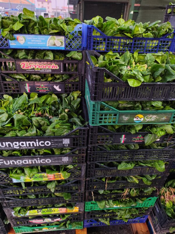 Spinaci a fascio Campania