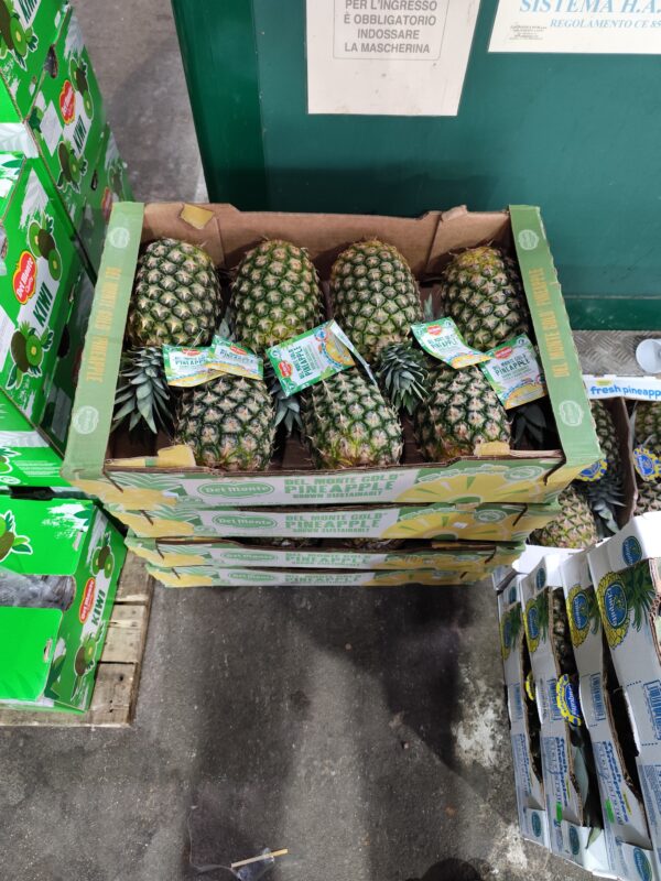 Ananas Del Monte Costa Rica