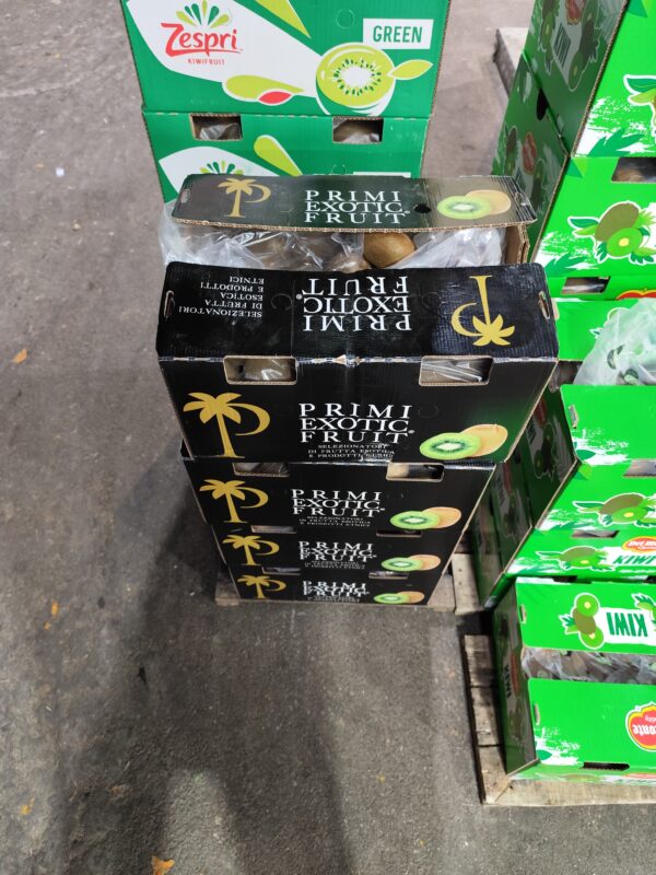 Kiwi Italia