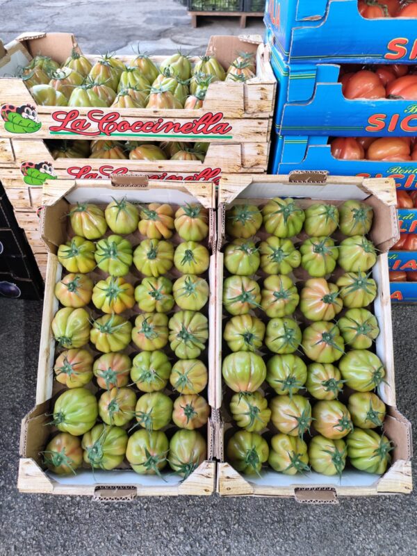 Pomodoro Cuore di Bue Sicilia