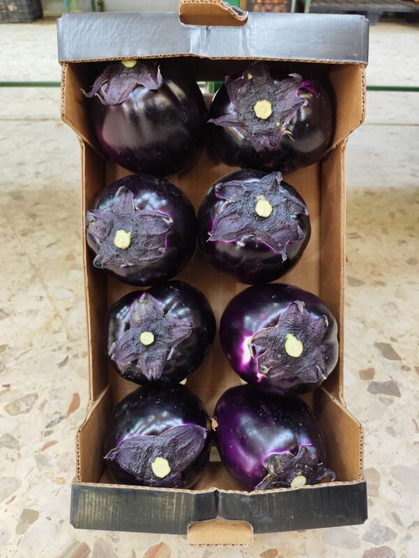 Melanzane Tonde Viola Sicilia