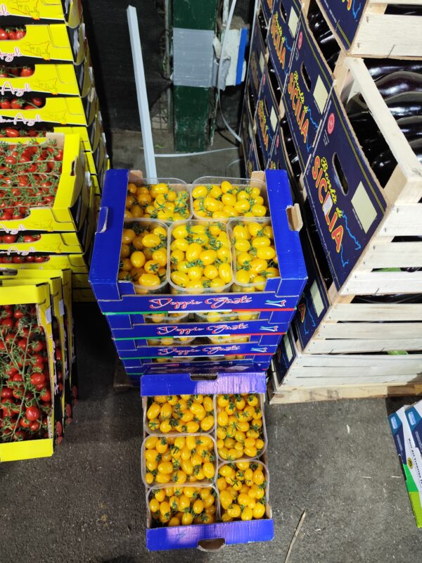 Pomodoro datterino giallo Sicilia