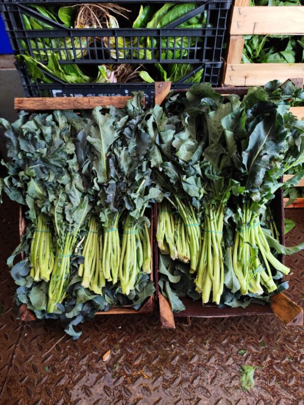 Broccoletti di minestra Campania