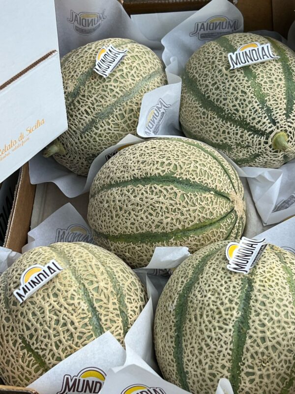Melone Retato Mundial Sicilia