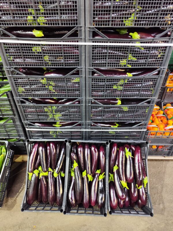 Melanzane Sicilia