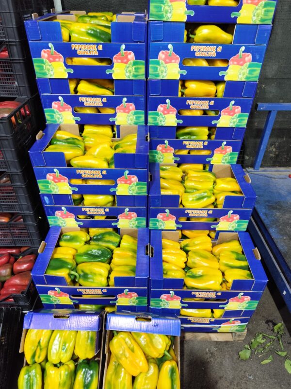 Peperone giallo Extra Sicilia
