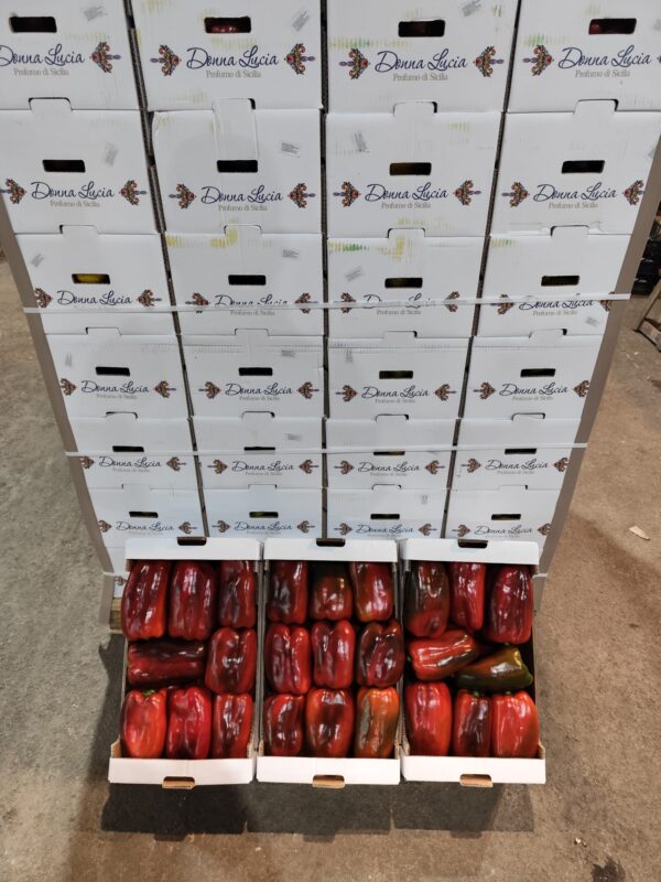 Peperone rosso Extra Sicilia