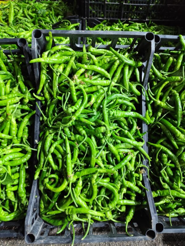 Peperoncini Verdi Campania