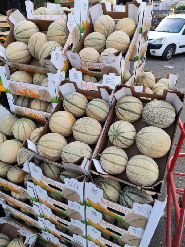 Melone  Cantalupo Campania