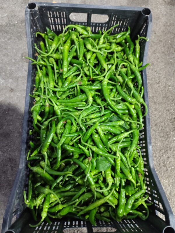 Peperoncini Verdi Extra Campania