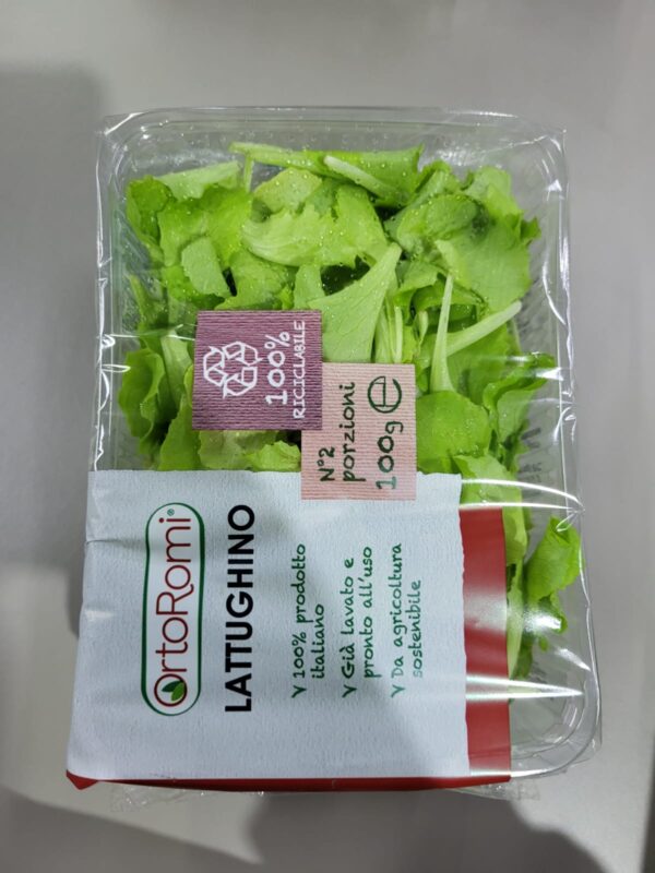 Insalata Lattughino Crt cal 8 Italia