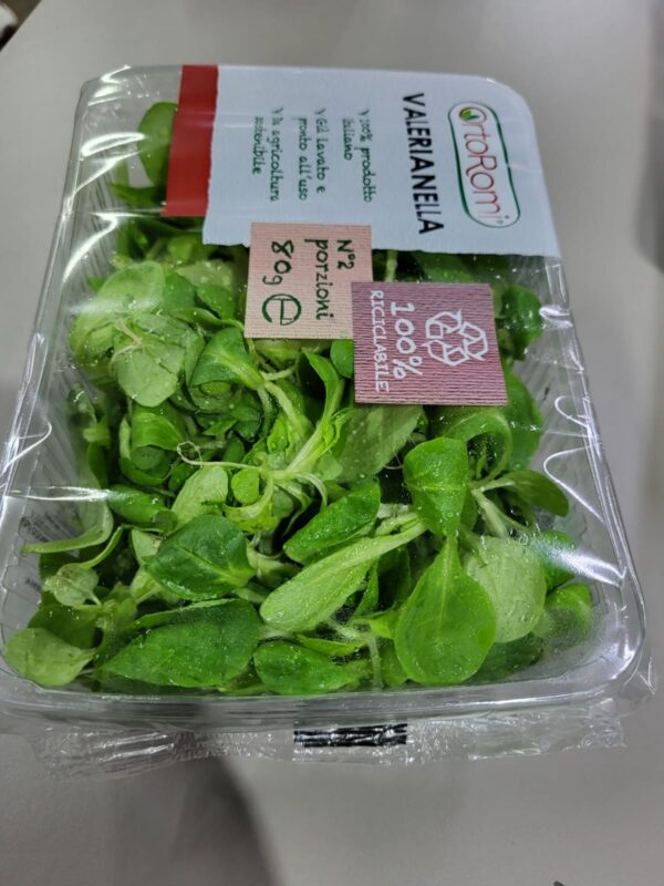 Insalata Valerianella Crt cal 8 Italia