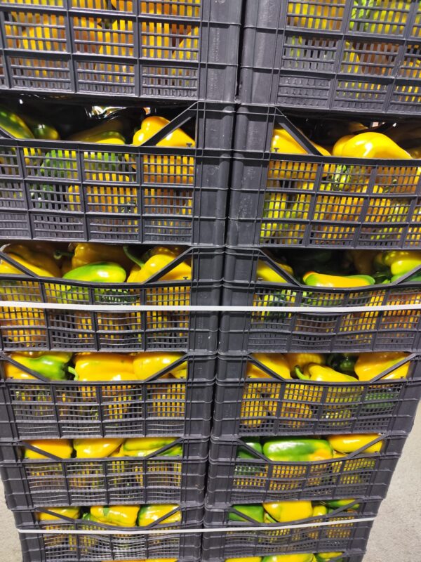 Peperone Emmolo Giallo Sicilia