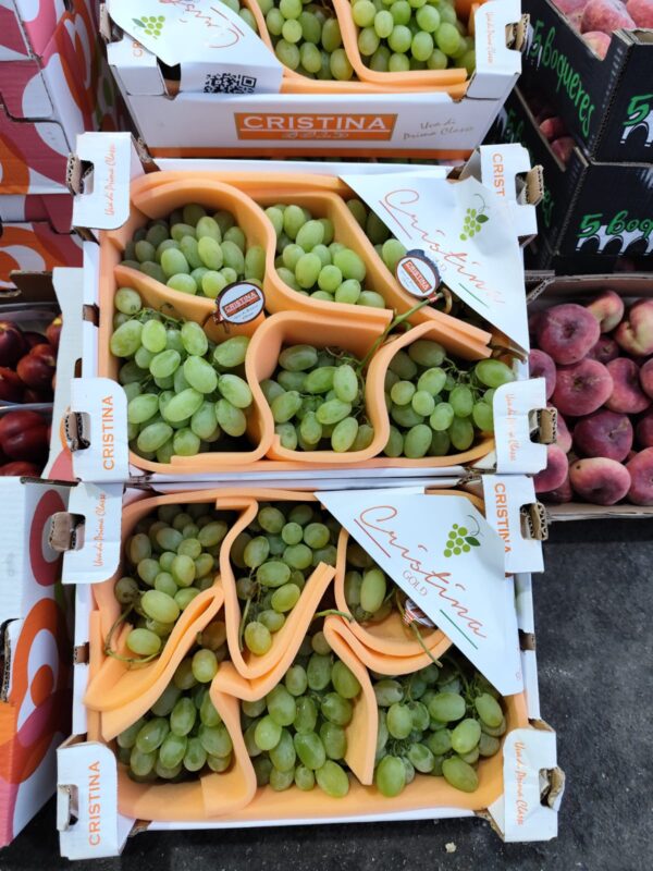 Uva Vittoria Italiia