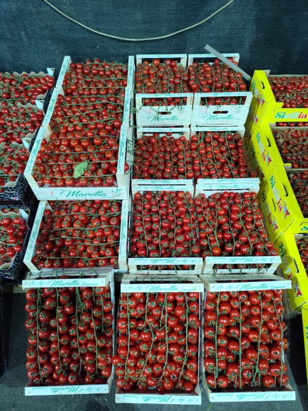 Pomodoro ciliegino Sicilia