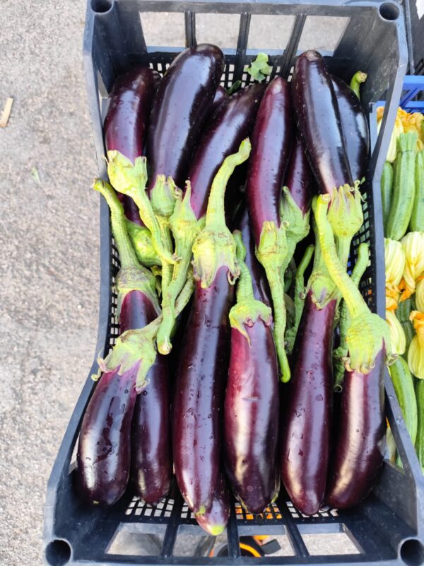 Melanzane Napoletane Campania