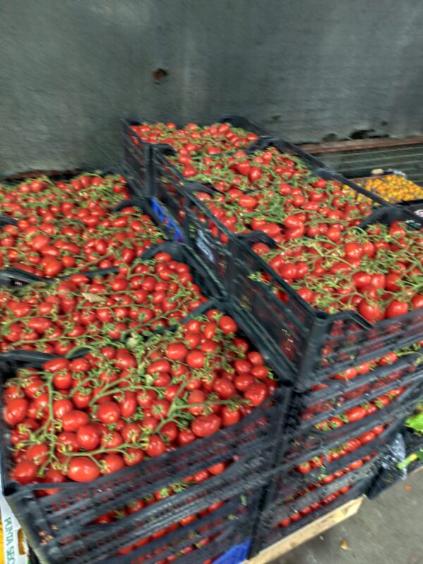 Pomodoro Piccadilly Campania
